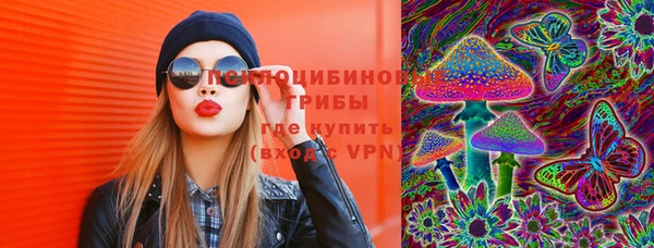 дурь Алзамай