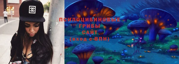 PSILOCYBIN Семикаракорск