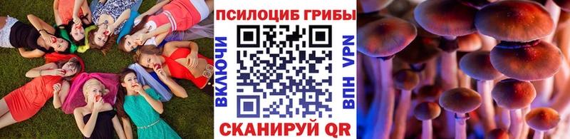 магазин    Дегтярск  мега как войти  Псилоцибиновые грибы мухоморы 
